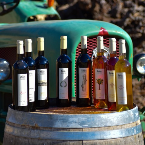 Visit Massmamier La Mignarde  Wine Tasting in Bize Minervois