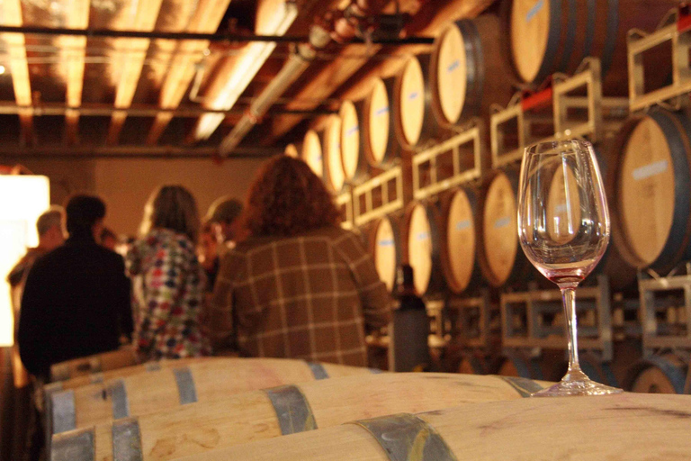 From Seattle: Snoqualmie Falls & Woodinville Wine Tasting Summer: Snoqualmie Falls & Wine Tasting (3 Wineries)