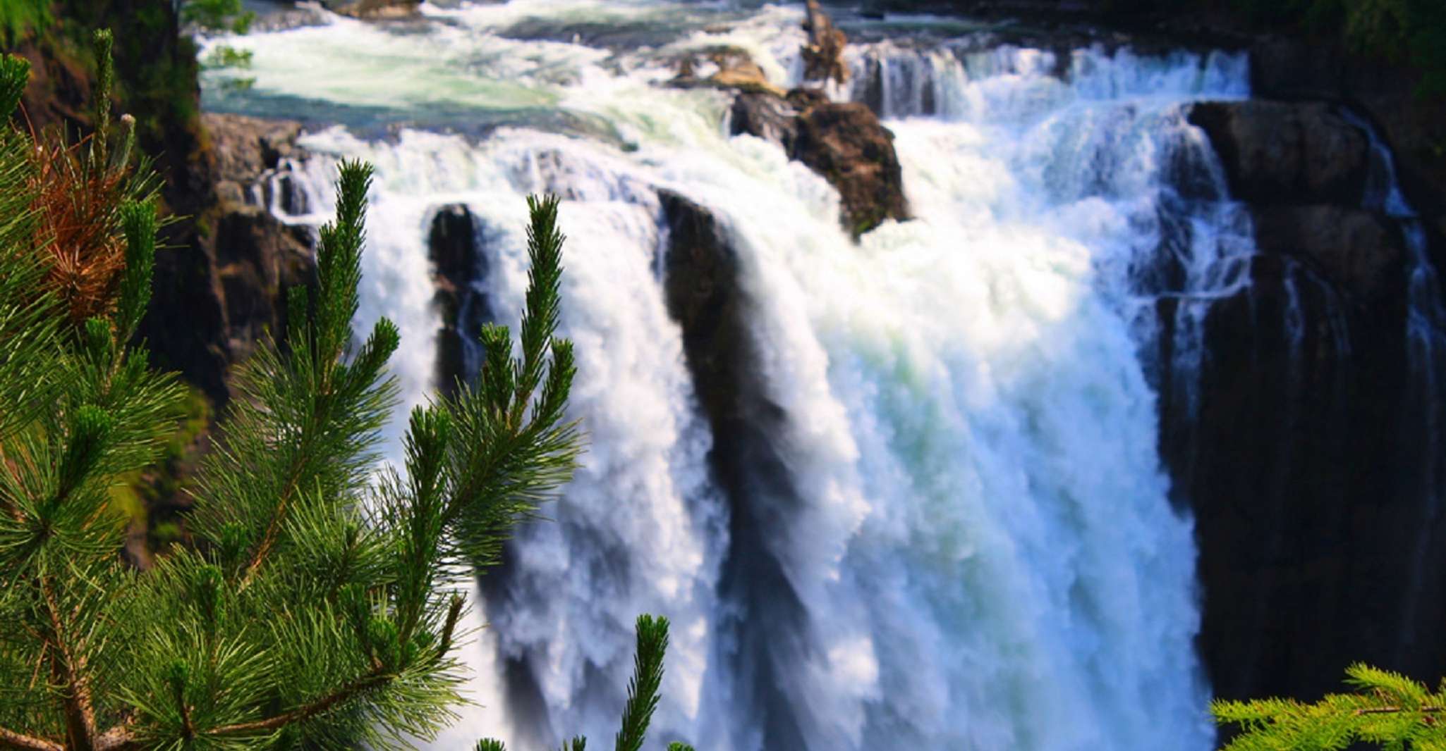 De Seattle, Snoqualmie Falls & Woodinville Dégustation de vins - Hizvo