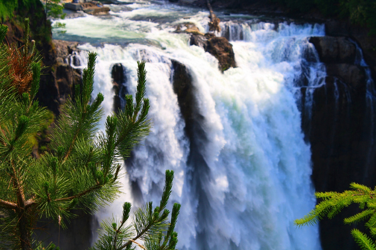 From Seattle: Snoqualmie Falls & Woodinville Wine Tasting Summer: Snoqualmie Falls & Wine Tasting (3 Wineries)