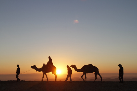 Agadir: Passeio de camelo com opção de chá e jantar com churrascoDe Taghazout com jantar de churrasco