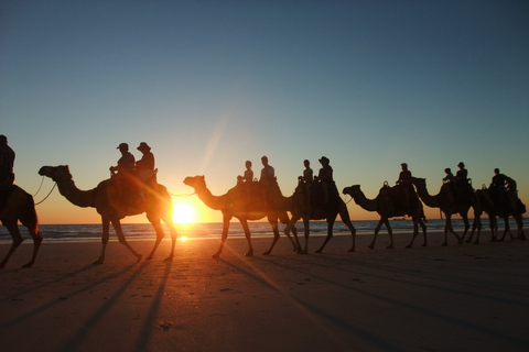 Agadir: Passeio de camelo com opção de chá e jantar com churrascoDe Agadir com jantar