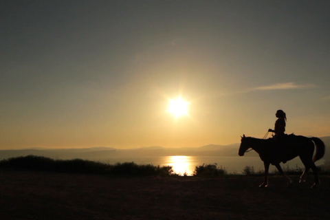 Agadir: Camel Ride With Tea &amp; BBQ Dinner OptionFrom Agadir with Dinner