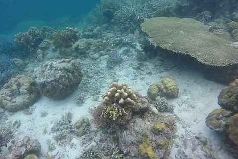 Coron: Excursión de salto a las islas, lagunas y lagos fuera de la bahía