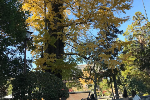 Hiroshima: Excursión en el Parque Conmemorativo de la Paz a la Isla de Miyajima