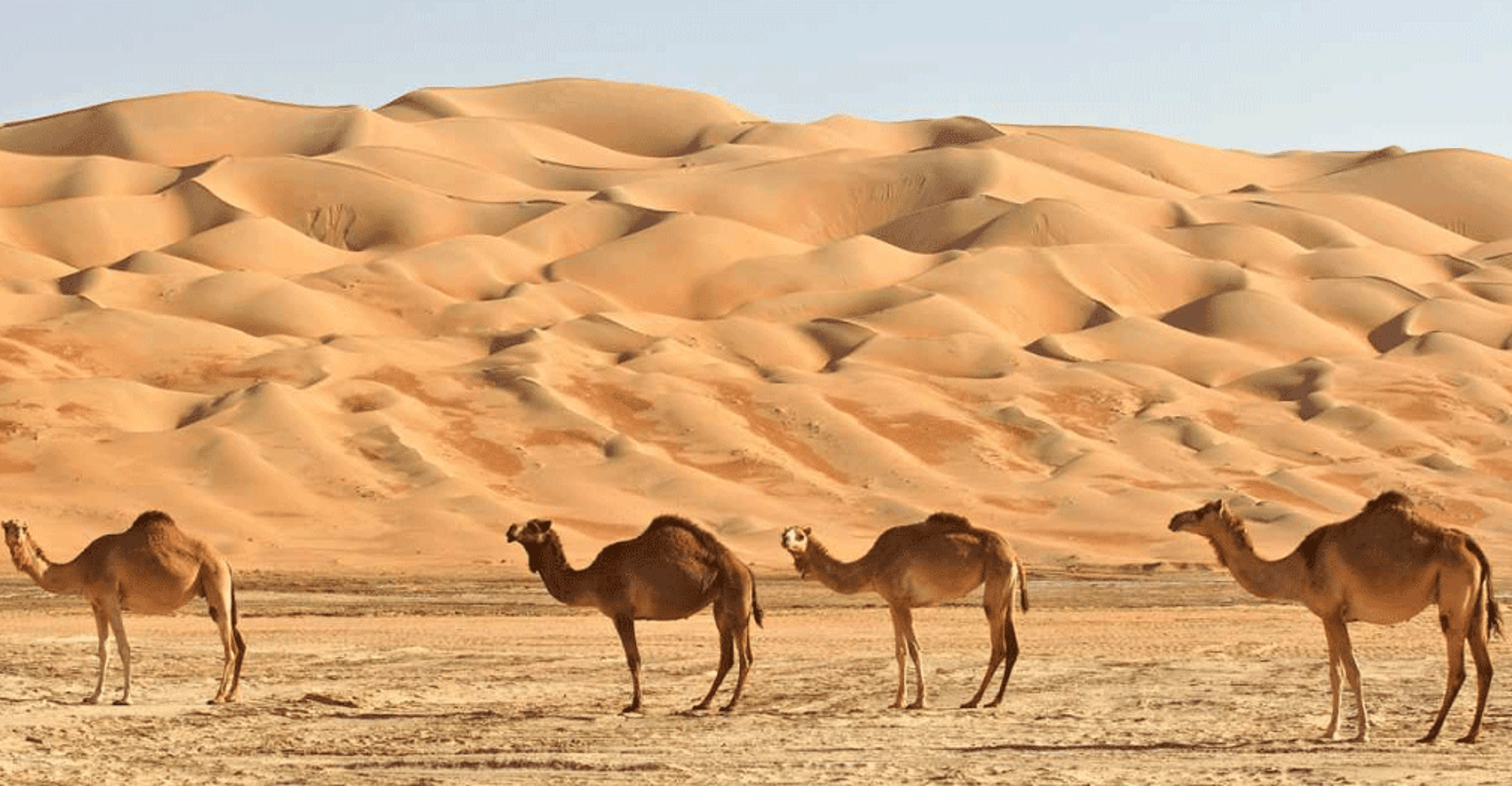 Oman, Wahiba et Wadi Bani Khaled Voyage privé - Hizvo