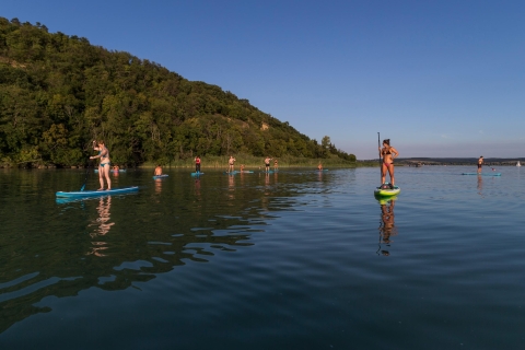 Balatonmeer: Paddle Board Tour van het nationale park TihanyBalatonmeer: SUP-tour door Tihany National Park voor beginners