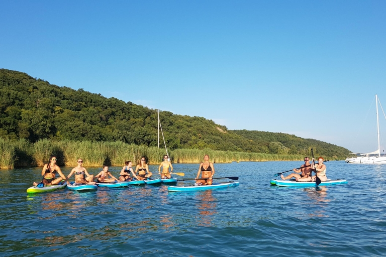 Nationalpark Balaton-Oberland: Stand-up-Paddle Board TourPlattensee: SUP-Tour durch den Tihany-Nationalpark für Anfänger
