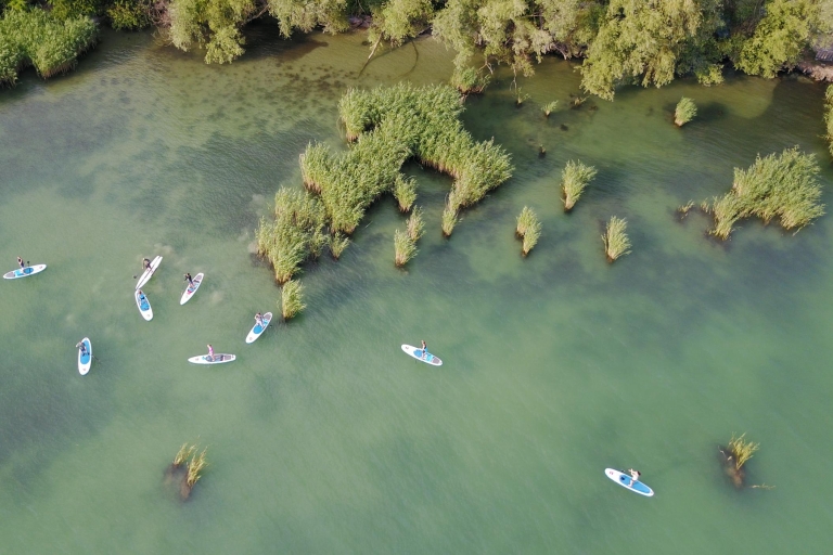 Balaton: Paddle Board Tour of Tihany National ParkJezioro Balaton: wycieczka SUP dla początkujących po Parku Narodowym Tihany