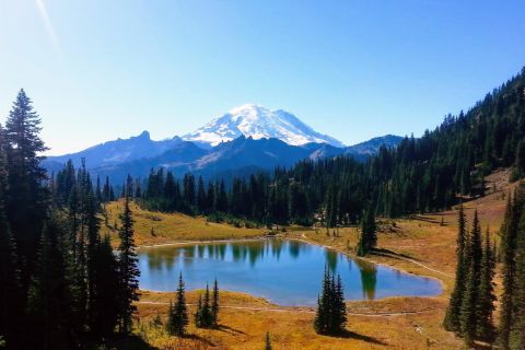 Seattle All-Inclusive: Hike Mt. Rainier and Wine Tasting