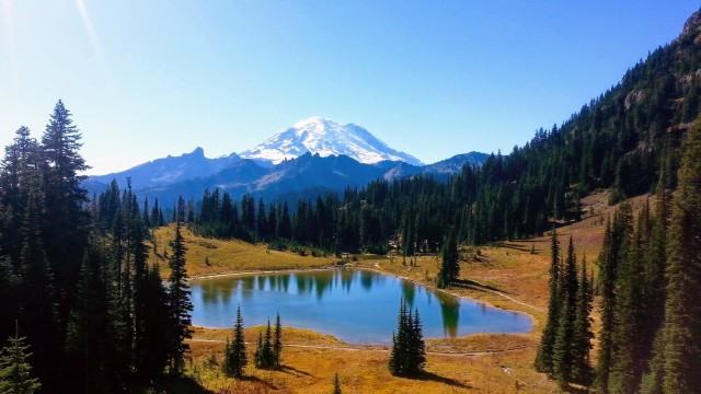 Visit Seattle All-Inclusive: Hike Mt. Rainier and Wine Tasting in Mount Rainier National Park