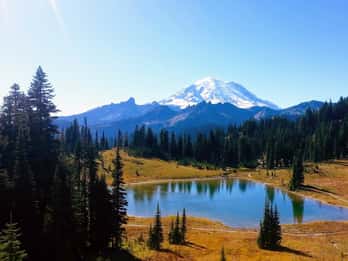 Seattle All-Inclusive: Wanderung Rainier und Weinprobe Seattle All-Inclusive: Wanderung Rainier und Weinprobe