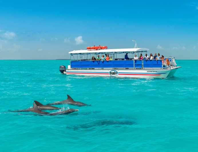From Miami: Key West Full-Day Trip with Dolphin Watching, Snorkeling and Transfer
