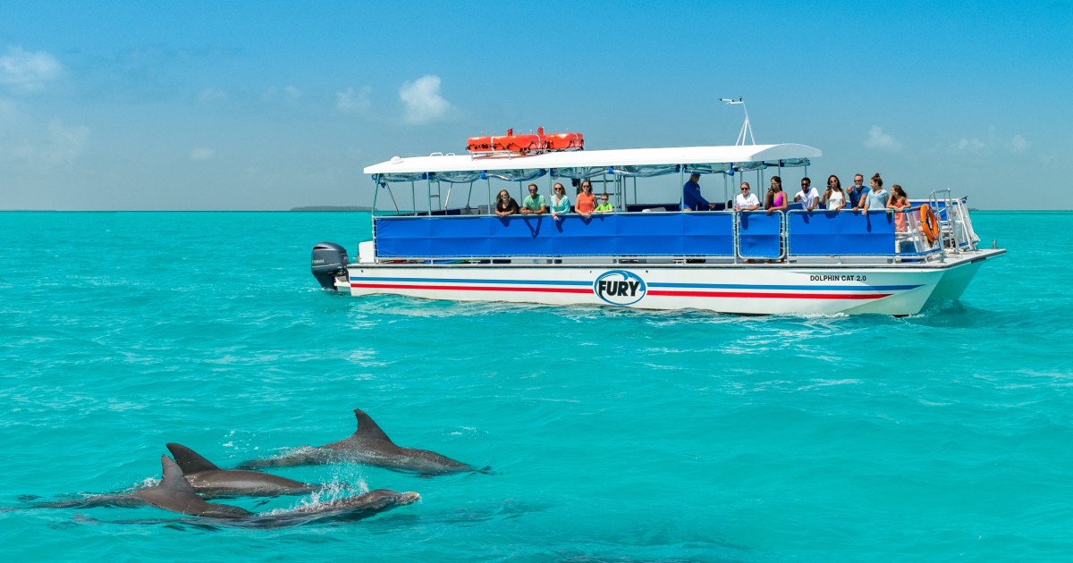 florida keys dolphin tour