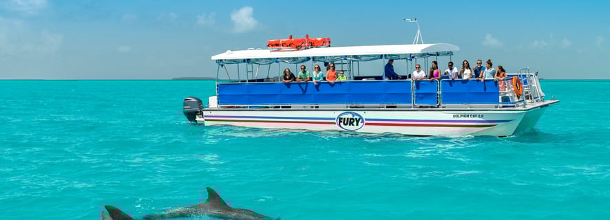 From Miami: Key West Full-Day Trip with Dolphin Watching, Snorkeling and Transfer