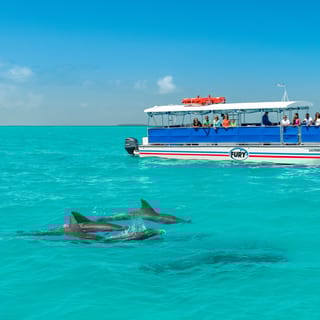 From Miami: Key West Full-Day Trip with Dolphin Watching, Snorkeling and Transfer