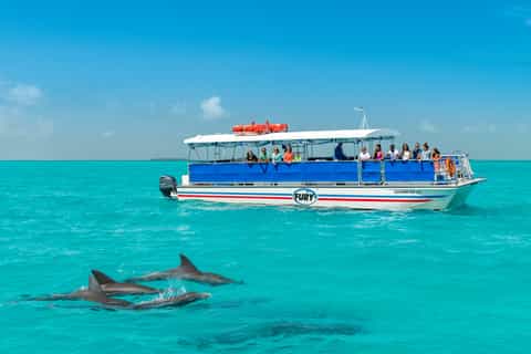 From Miami: Key West Full-Day Trip with Dolphin Watching, Snorkeling and Transfer
