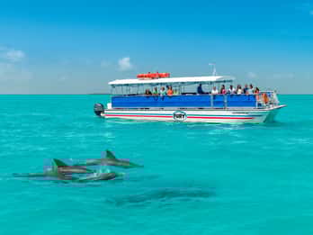 Ab Miami Beach: Key West-Tagestour mit Optionen Ab Miami Beach: Key West-Tagestour mit Optionen