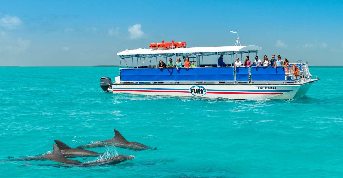 From Miami: Key West Full-Day Trip with Dolphin Watching, Snorkeling and Transfer