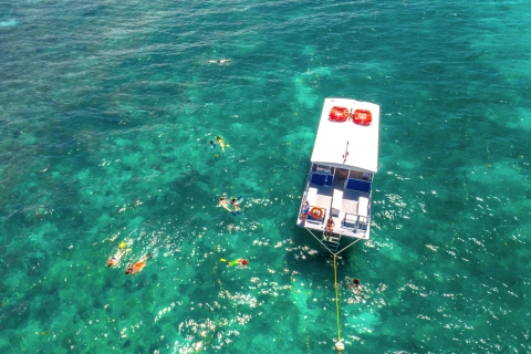 Van Miami: Key West Tour met watersportactiviteitenDagtrip naar Key West met 3 uur snorkelen en gratis Margaritas