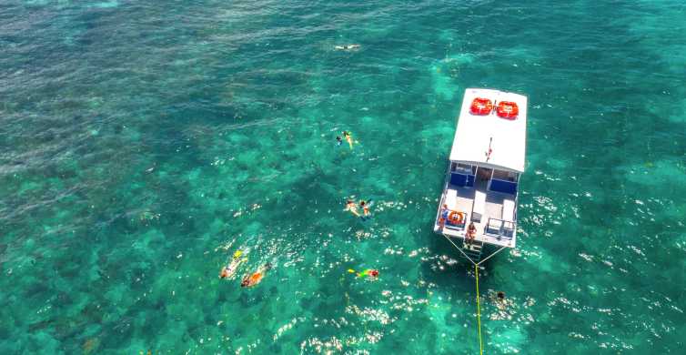 Key West: escursione di un giorno con avvistamento delfini, snorkeling e transfer da Miami
