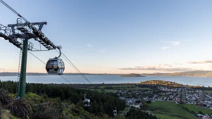skyline rotorua gondola and luge tickets