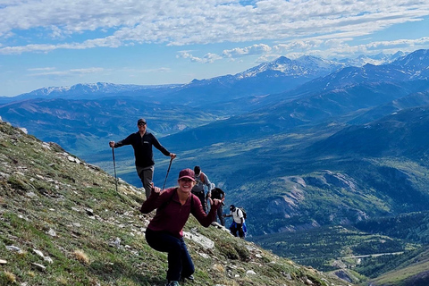 Denali: 5-Hour Guided Wilderness Hiking Tour Denali: 5-Hour Guided Wilderness Hiking Tour
