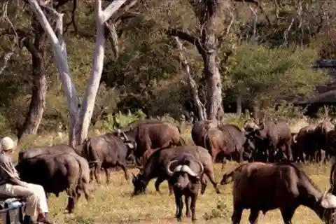 3 Day Hluhluwe & Isimangaliso Wetlands Pk Tour from Durban