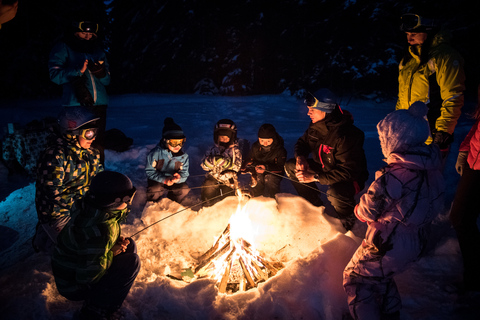 Zakopane: Wyprawa na skuterach śnieżnych i opcjonalne ognisko1-godzinna wycieczka – jednoosobowy skuter śnieżny