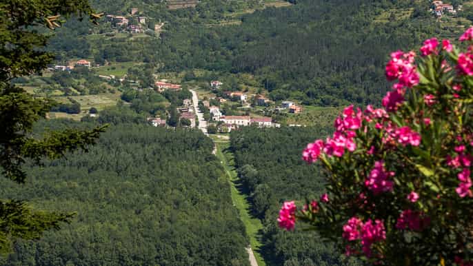 istrian villages day tour with lunch