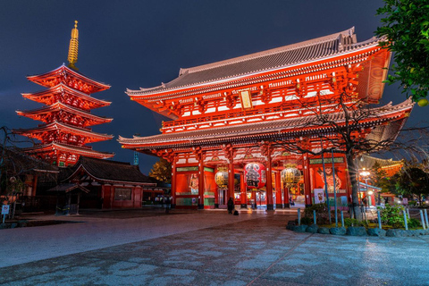 Tokio: tour turístico privado de día completo con conductor de habla inglesa