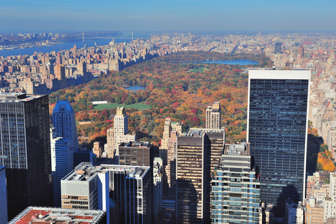 New York : visite de Wall Street, Little Italy et ChinatownVisite guidée privée