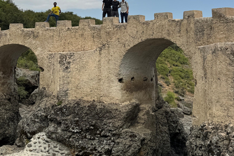 Addis Abeba: Töpferwaren, Markt und Kaffee-Tour mit MittagessenAddis Abeba: Töpfer-, Markt- und Kaffeetour mit Mittagessen