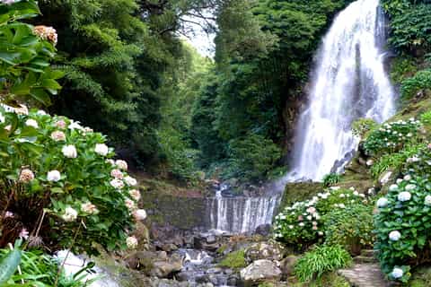 Sao Miguel: Eastern Tour with Lunch