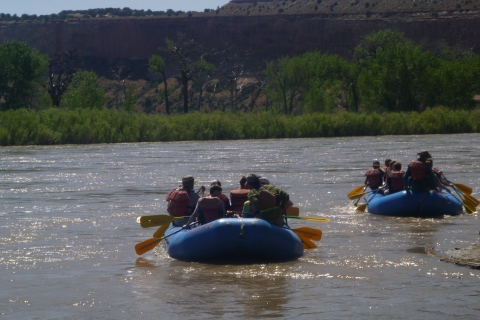 Van Moab: raftingtrip van een halve dag Colorado RiverMoab: raftingtrip van een halve dag