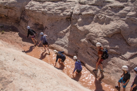 Moab: Morning or Afternoon Half-Day Rappelling Tour