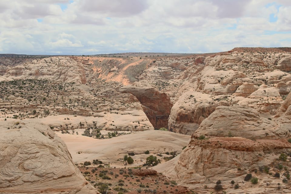 From Moab, 1-Day Horseshoe Canyon Exploration - Housity
