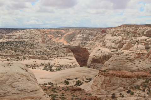 Desde Moab: exploración de 1 día por el cañón de herraduraDesde Moab: exploración del cañón de herradura de 1 día