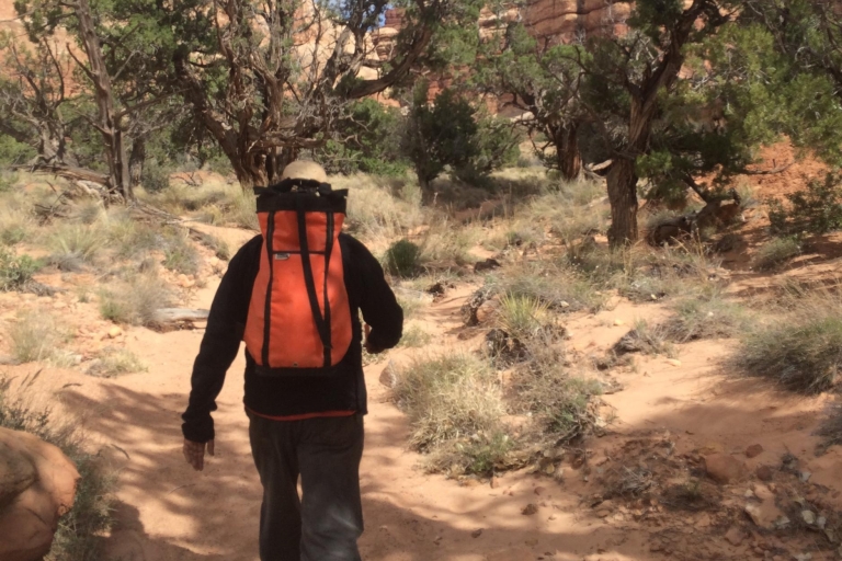 De Moab: Exploration d'une journée du Horseshoe CanyonDepuis Moab : 1 jour d'exploration du Horseshoe Canyon