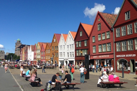 Desde Bergen: tour privado a Sognefjord, Gudvangen y Flåm