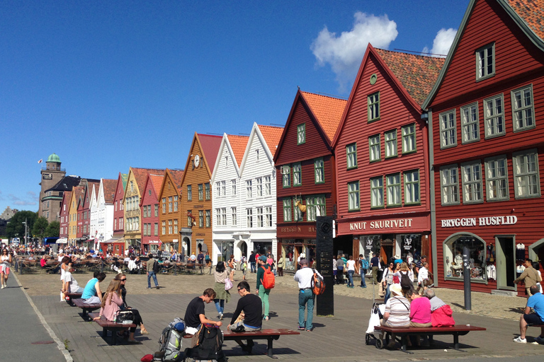 Desde Bergen: tour privado a Sognefjord, Gudvangen y Flåm