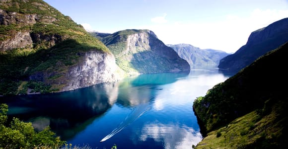 Bergen: Privater Tagesausflug zum Sognefjord mit Schifffahrt und Flåmsbana-Bahn