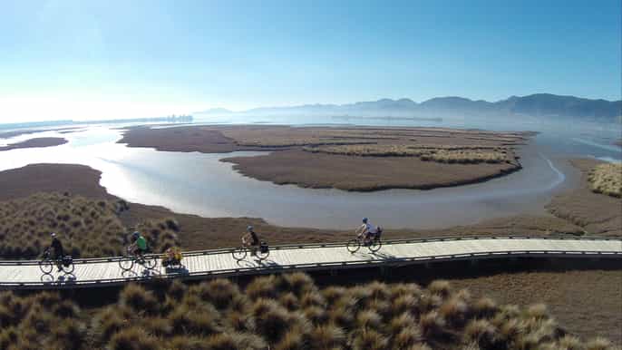 nelson to mapua fullday cycling selfguided adventure