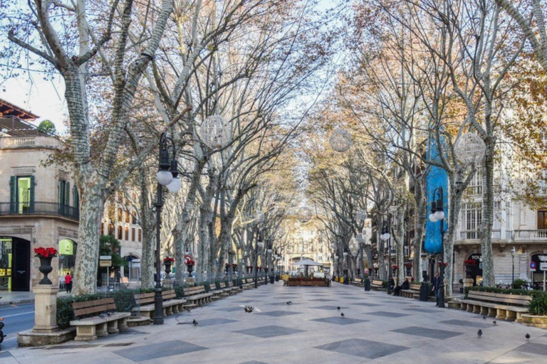 Mallorca: Transfer to Palma self-guided Tour Mallorca: Palma CityXperience - Levante Pickup