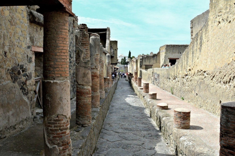Halve dagtour Herculaneum vanuit Sorrento