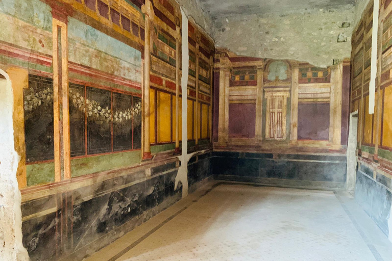 Herculaneum and Pompei group excursion from Sorrento Standard Option