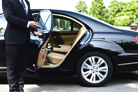 Yerevan: Private Airport Transfer Yerevan: Private Airport Return Transfer