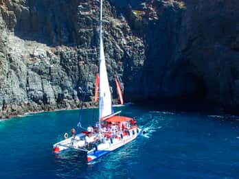 Teneriffa: Wal- und Delfin-Beobachtungstour Teneriffa: Wal- und Delfin-Beobachtungstour