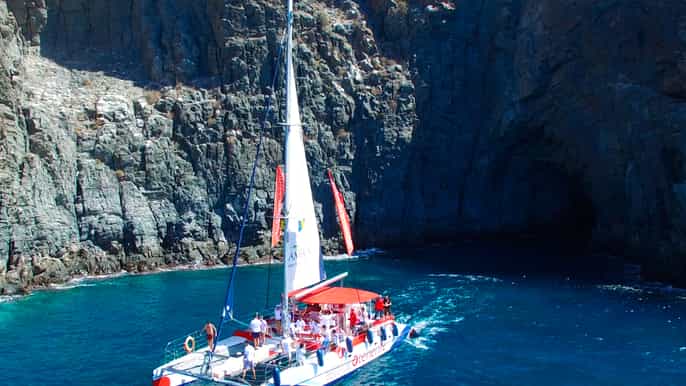 tenerife tour de 5 horas para avistar ballenas y delfines