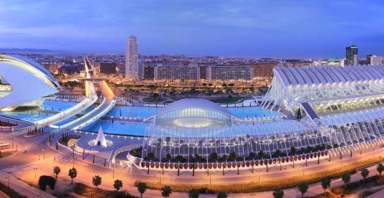 Valencia: Oceanografic, Hemisferic & Science Museum Combos